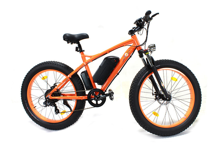 E-Bike 48 Volt 500 Watt - 500WEBIKE-3
