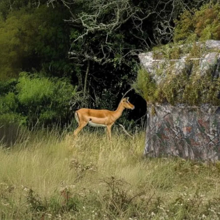 Hunting Blind 360 See Through Ground Blind for Turkey and Deer Hunting, 2-3 Person Pop Up Camouflage Tent