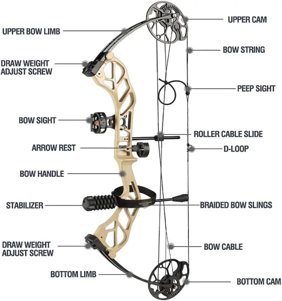 Compound Bow Pro Set Easy to Adjust No Bow Press Needed Bow and Arrow Set 19-31\\" Draw Length 0-70 Lbs Draw Weight Up to IBO 32