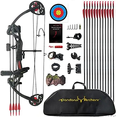 Compound Bow Archery kit for Youth & Beginner, 15-29 Lbs 19”-28”Adjustable Lightweight Hunting and Shooting Practice Bow