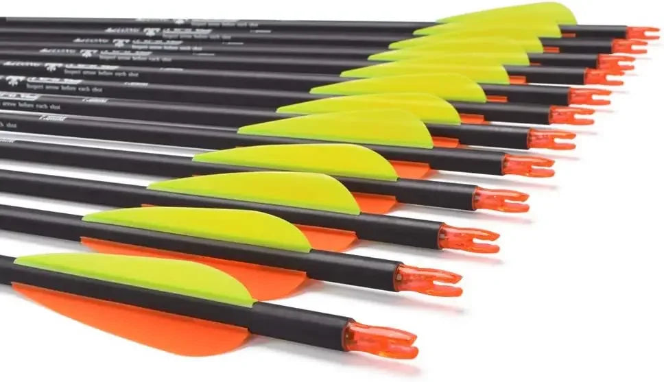 Carbon Arrow Hunting Arrows with 100 Grain Tip and Removable Tips for Archery Compound & Recurve & Traditional Bow Practice
