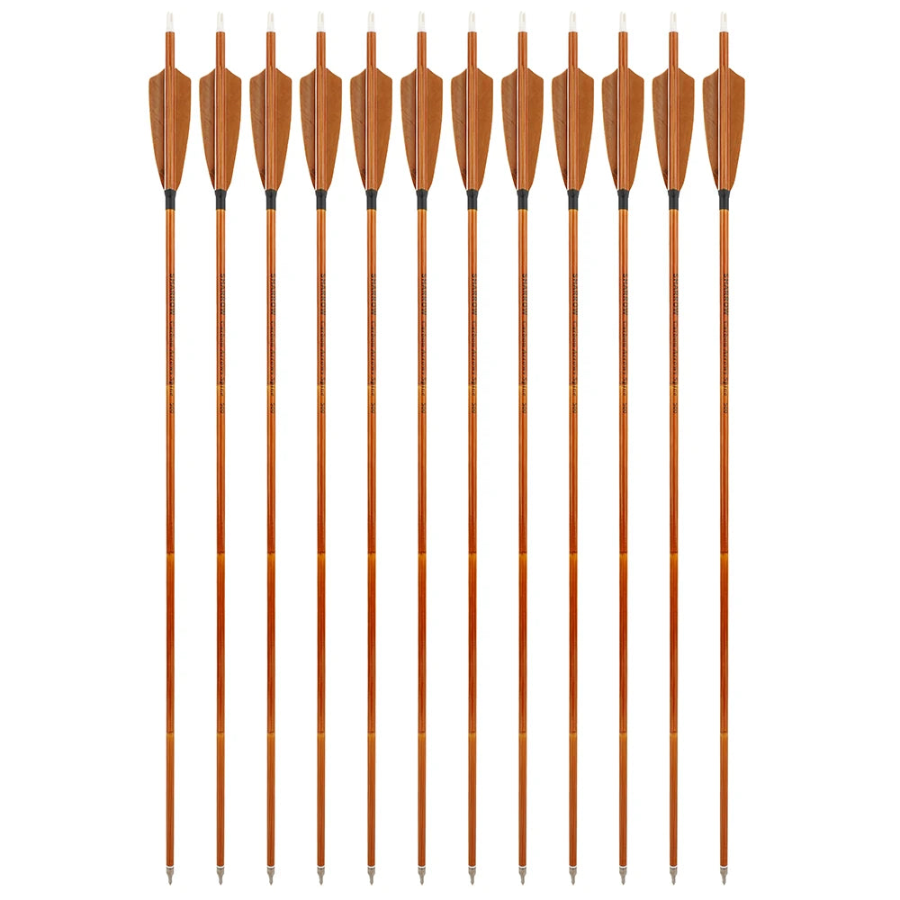 Archery Mixed Carbon Arrows Turkey Feather SP500 High Strength 100Grain Arrowhead Arrows ID6.2mm Recurve Compound Bow Shooting