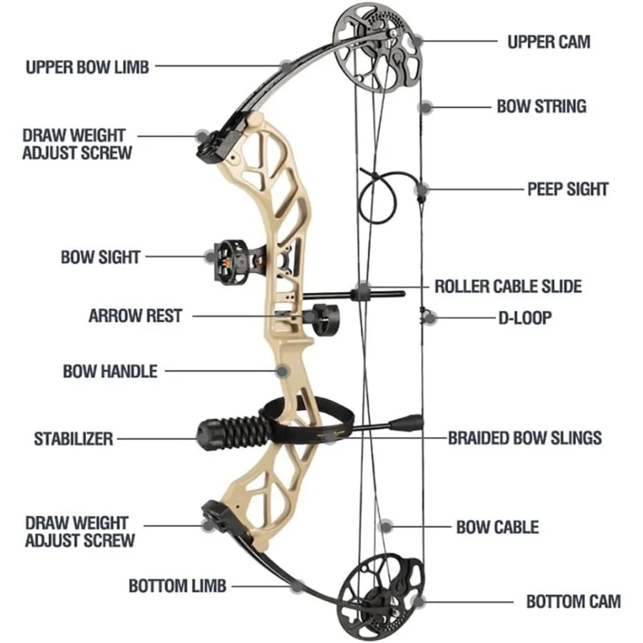 Archery Compound Bow Pro Set Easy to Adjust No Bow Press Needed Bow and Arrow Set 1931 Draw Length 070 Lbs Draw Weight