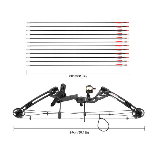 Aluminum Alloy Compound Bow Arrow Kit with 12Pcs Arrows 3-pin Sight with Lighting System and Level 30-55lbs Draw Weight