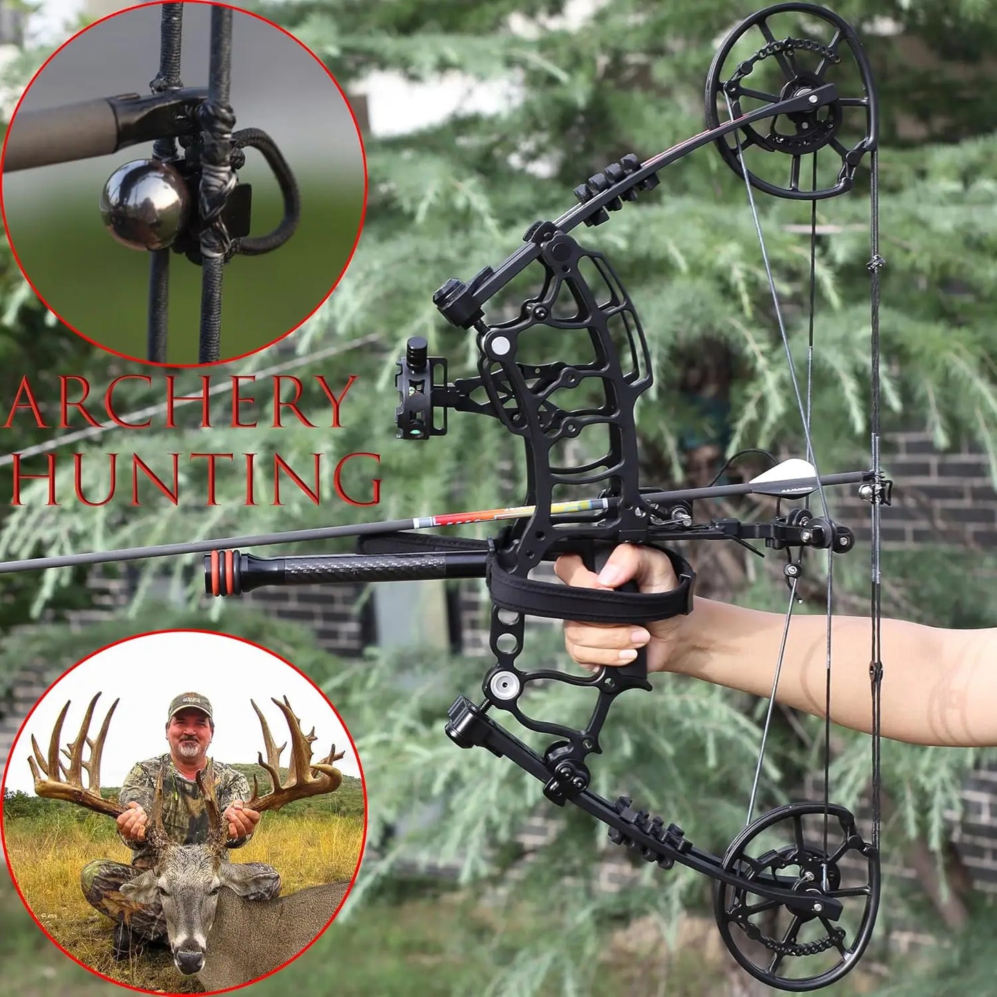 Compound Bow Set for Steel Ball, Draw Weight 40-65 LBS, Short-Axis Hunting Compound Bow, can Shoot Arrow and Steel Ball for Arch