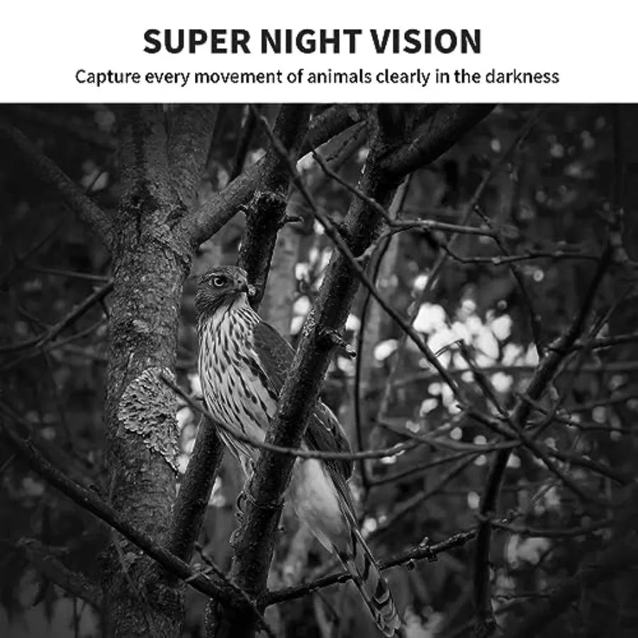 Outdoor wildlife monitoring trail camera set: 24MP 1080P HD, waterproof night vision, black plastic housing, compact size and i