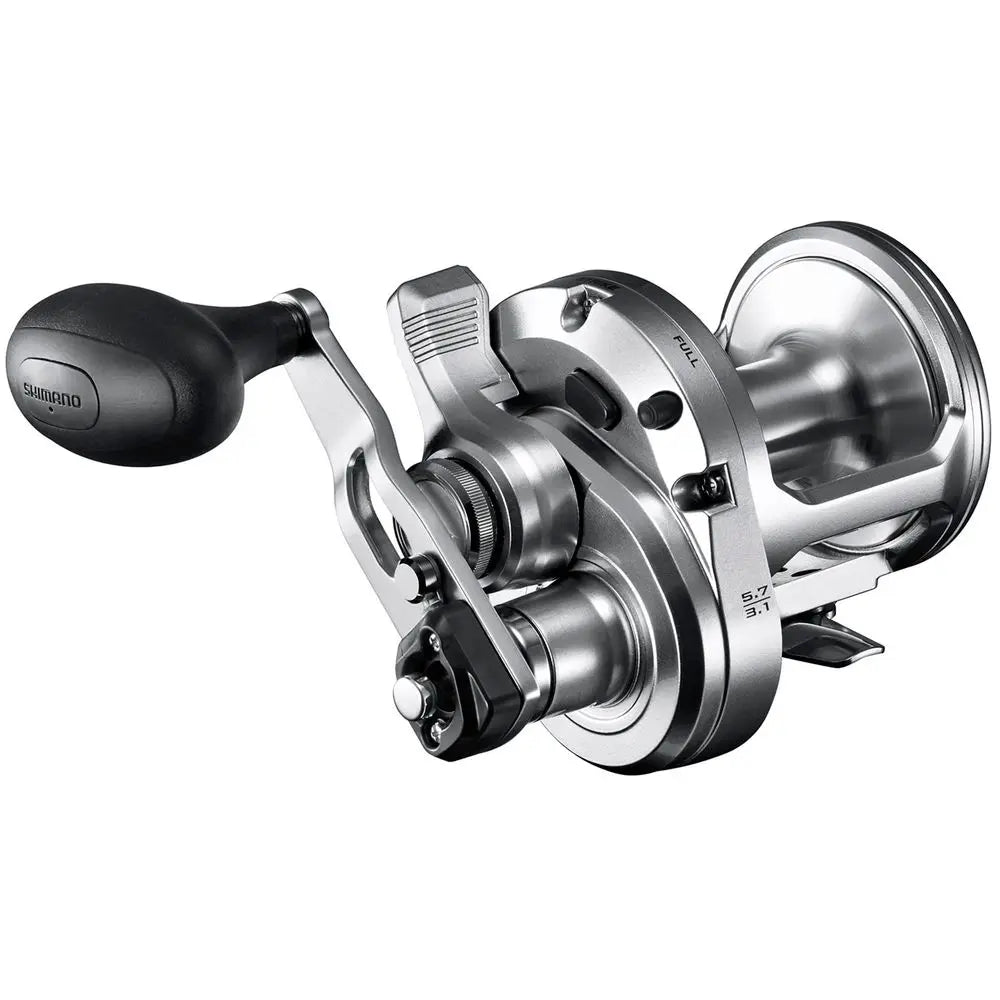SpeedMaster 2 Speed Lever Drag Saltwater Fishing Reel, Right Hand Retrieve
