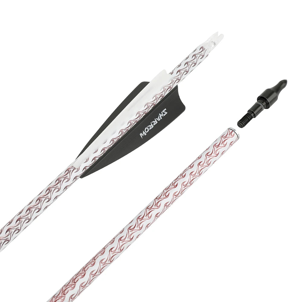 12pcs Spine 500 Mixed Carbon Arrows 100 Grain Replaceable Arrowhead 3" Rubber Feather 31.5 Inch Archery Shooting Hunting Arrow