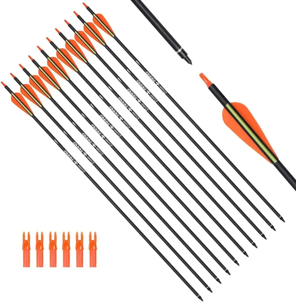 Carbon Arrow Hunting Arrows with 100 Grain Tip and Removable Tips for Archery Compound & Recurve & Traditional Bow Practice
