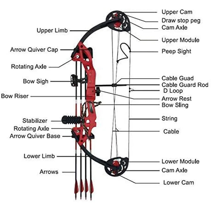 Compound Bow Archery kit for Youth & Beginner, 15-29 Lbs 19”-28”Adjustable Lightweight Hunting and Shooting Practice Bow