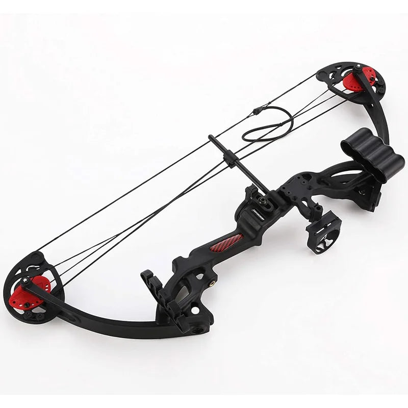 Compound Bow Archery kit for Youth & Beginner, 15-29 Lbs 19”-28”Adjustable Lightweight Hunting and Shooting Practice Bow
