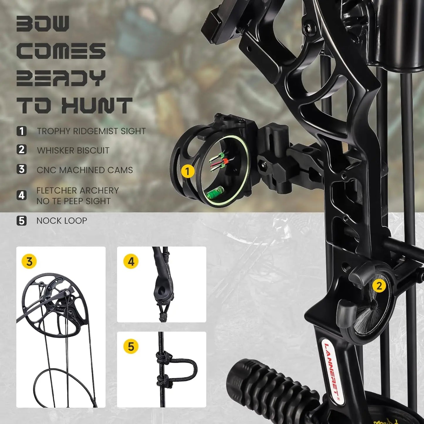 Archery Eagle Compound Bow and Archery Sets 20-70lbs for Adults and Teens,25\\"-31\\" Draw Length,up to IBO 320 fps,Lightweight