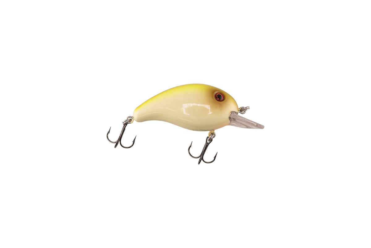 Dive Master Jr