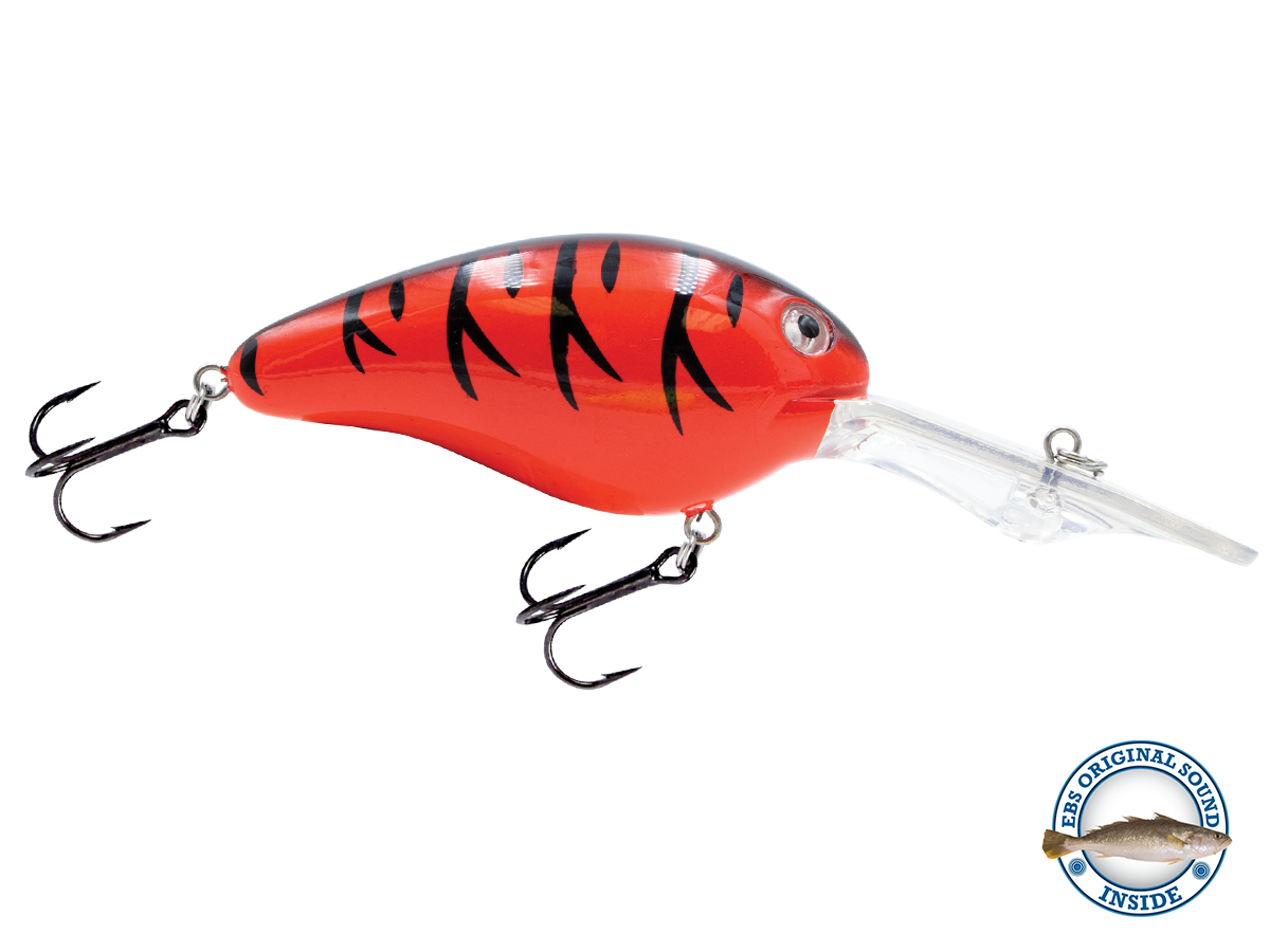 Dive Master 20
