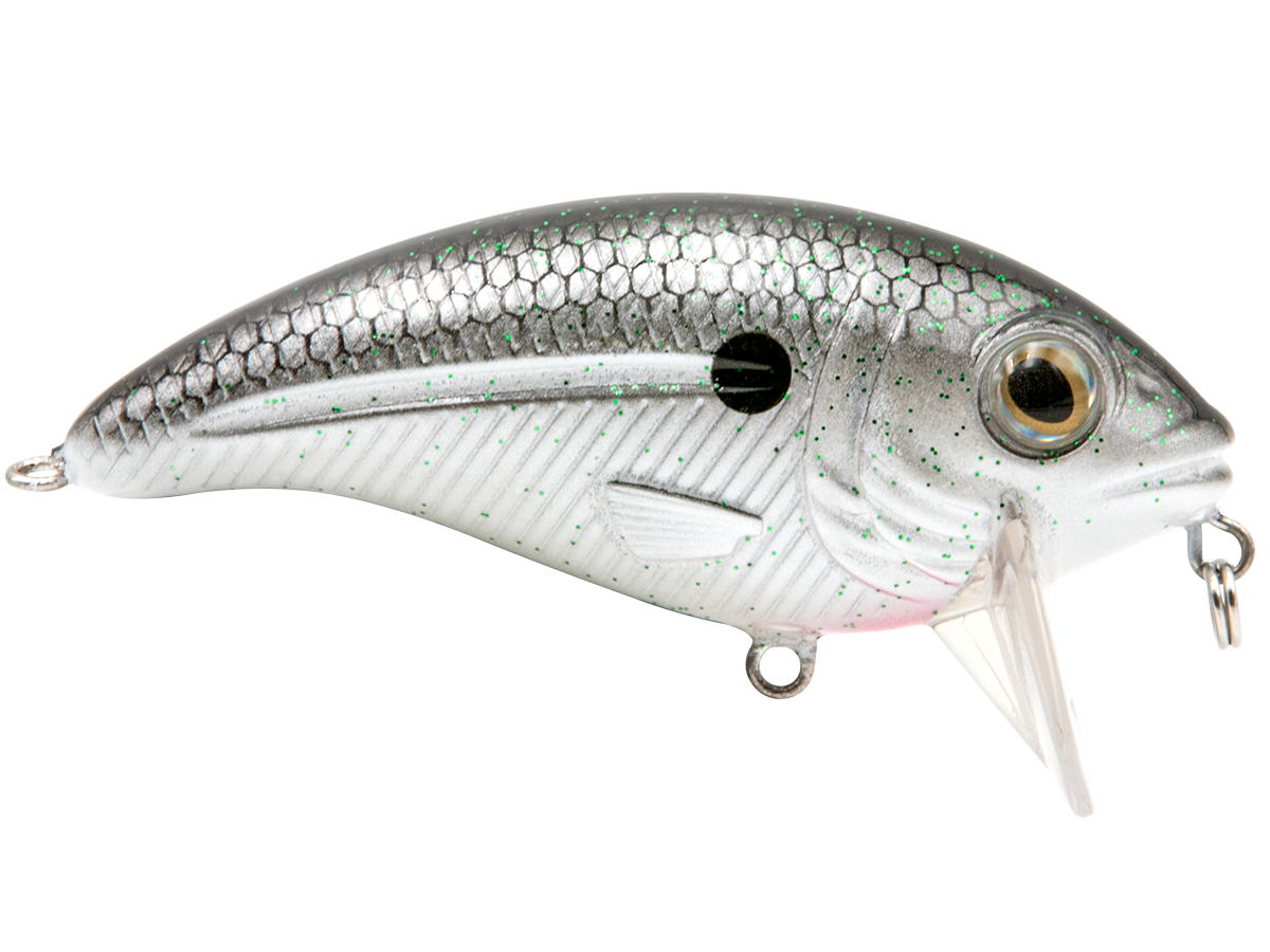 Bull Nose