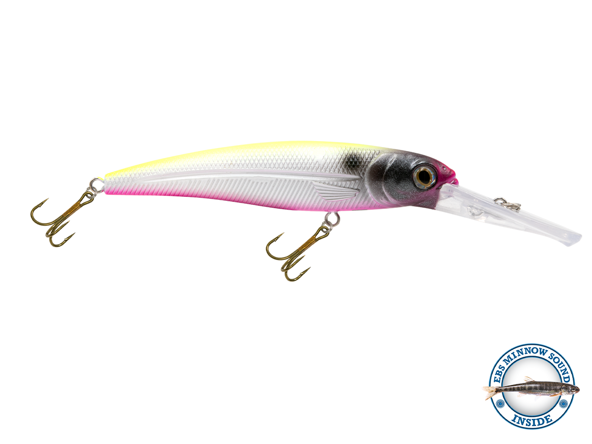 Voyager 15 Walleye