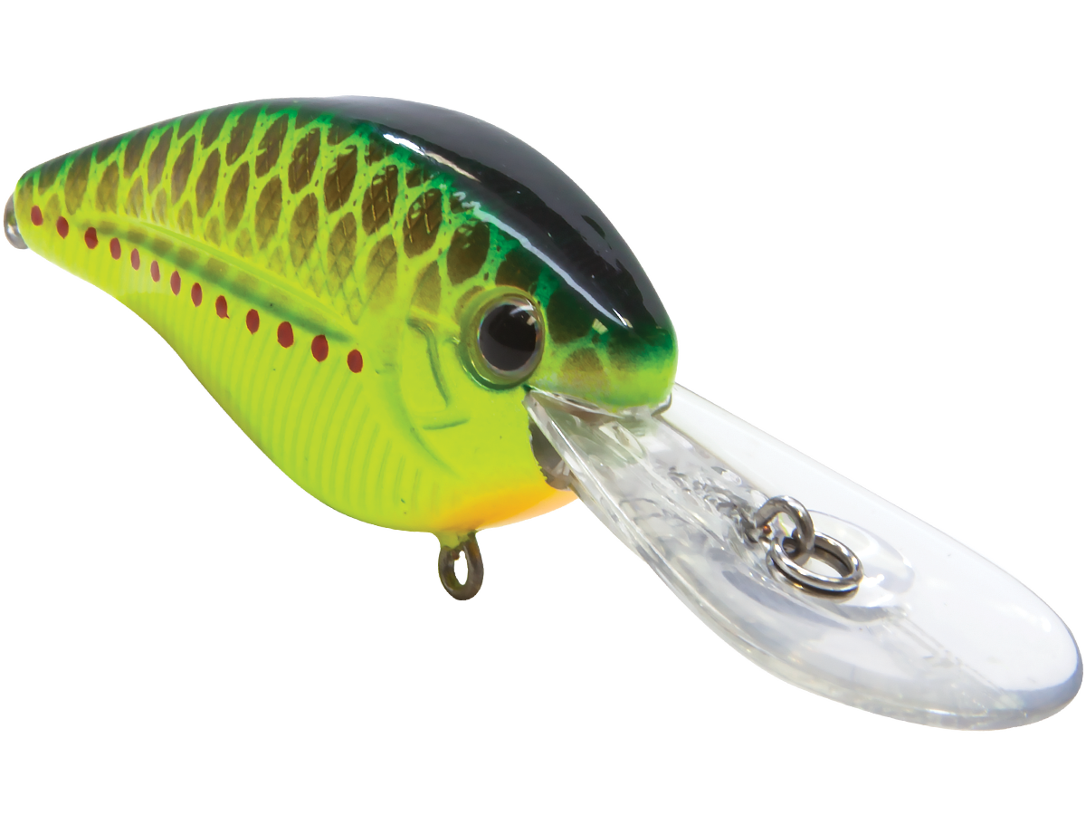 FlatMaster