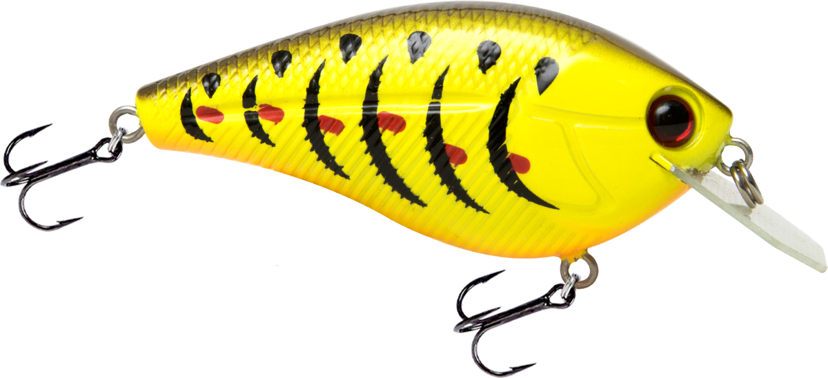Primetyme CB 1.5