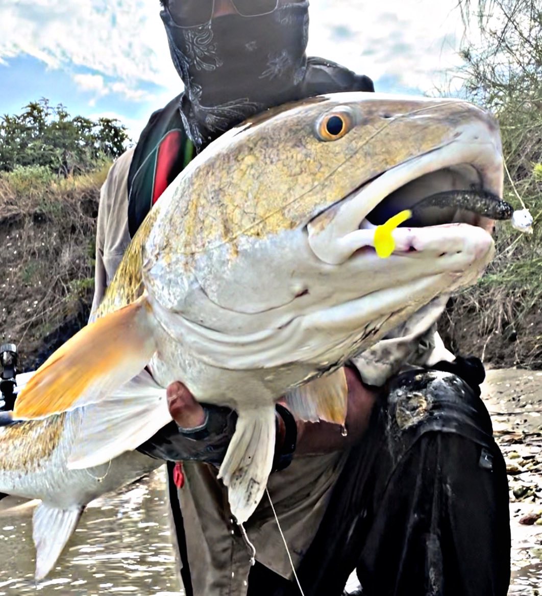 5" Smoke Shad With Built-In Tail Rattle