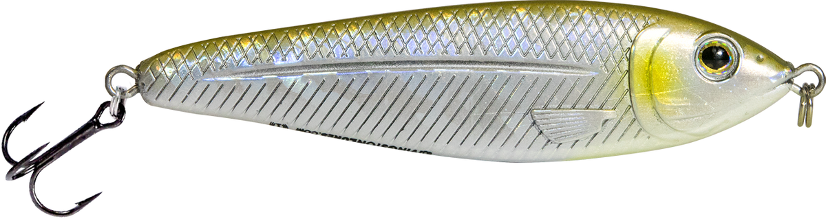 EBS Jigging Spoon