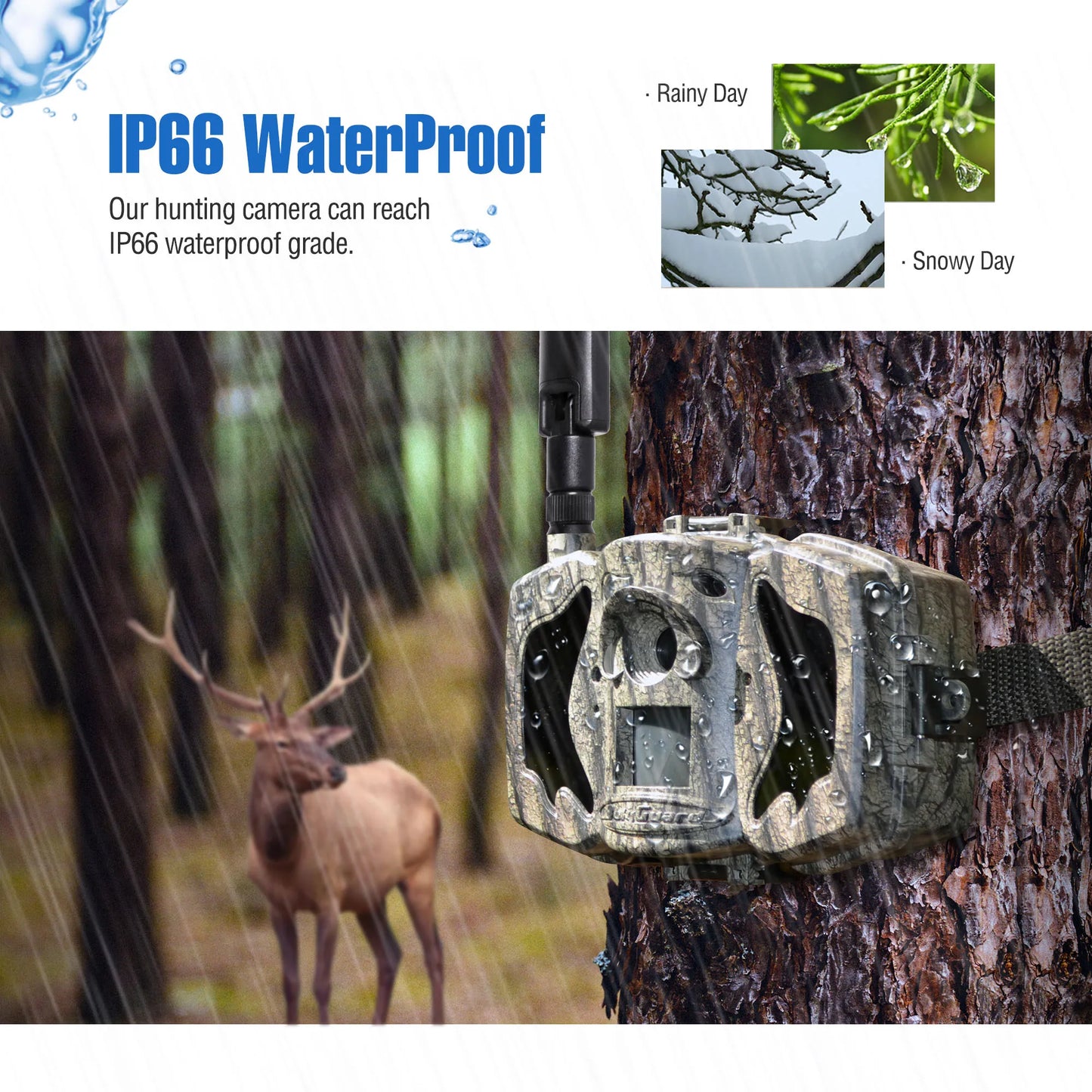 BolyGuard MG984G-36M Cellular Trail Hunting Camera 4G 36M 1080P HD Wildlife Trail Camera MMS EMS Waterproof Wireless Camera
