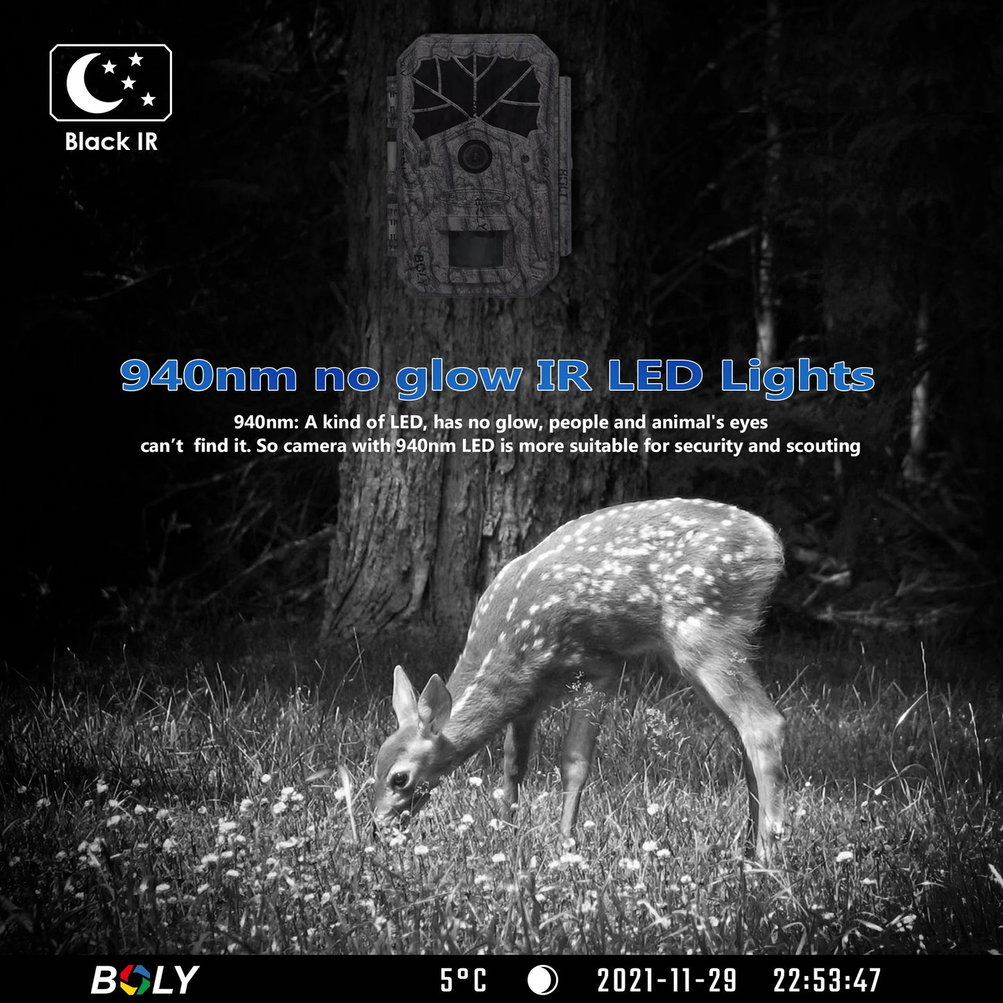 BolyGuard BG636-K Trail Game Camera 64MP 1080P Hunting Camera Wildlife Camera IP68 940nm No Glow Black IR Outdoor Night Vision