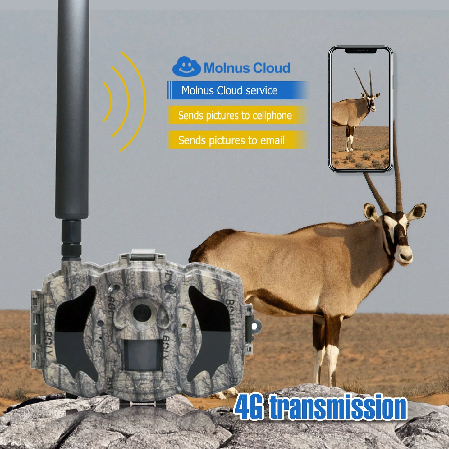 BolyGuard MG984G-36M Cellular Trail Hunting Camera 4G 36M 1080P HD Wildlife Trail Camera MMS EMS Waterproof Wireless Camera
