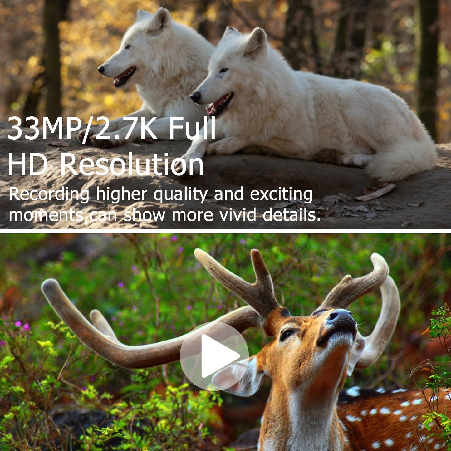 BolyGuard BG410-M 2.7K HD 33MP Cellular Trail Camera 940nm IR Night Vision, 4G Wireless, Outdoor Hunting Camera+gift 32GB TF
