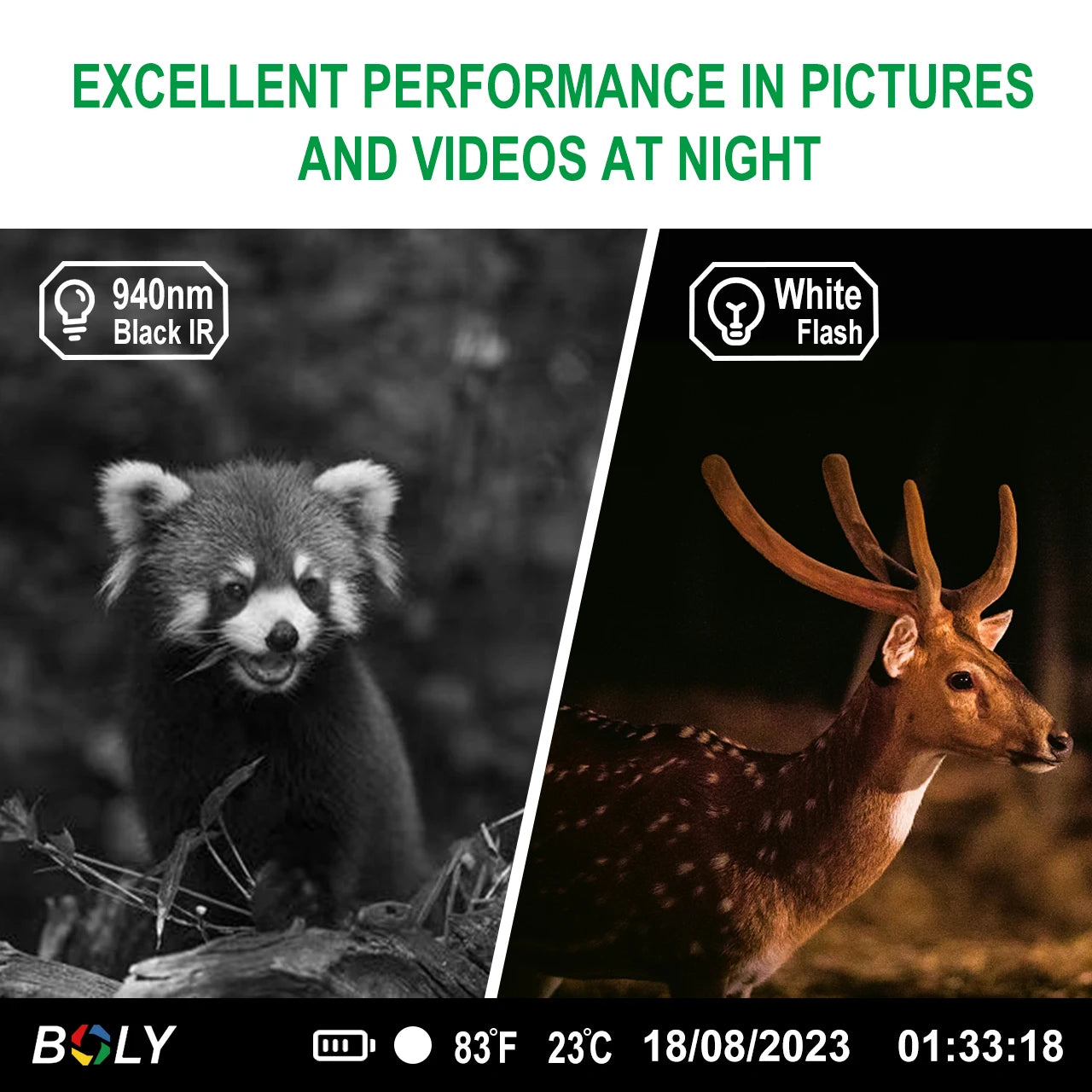 BolyGuard BG662-D Trail Camera 940nm Night Vision Invisible 4K Video 56MP Wildlife Hunting Camera Economical Camera Wide-Angle