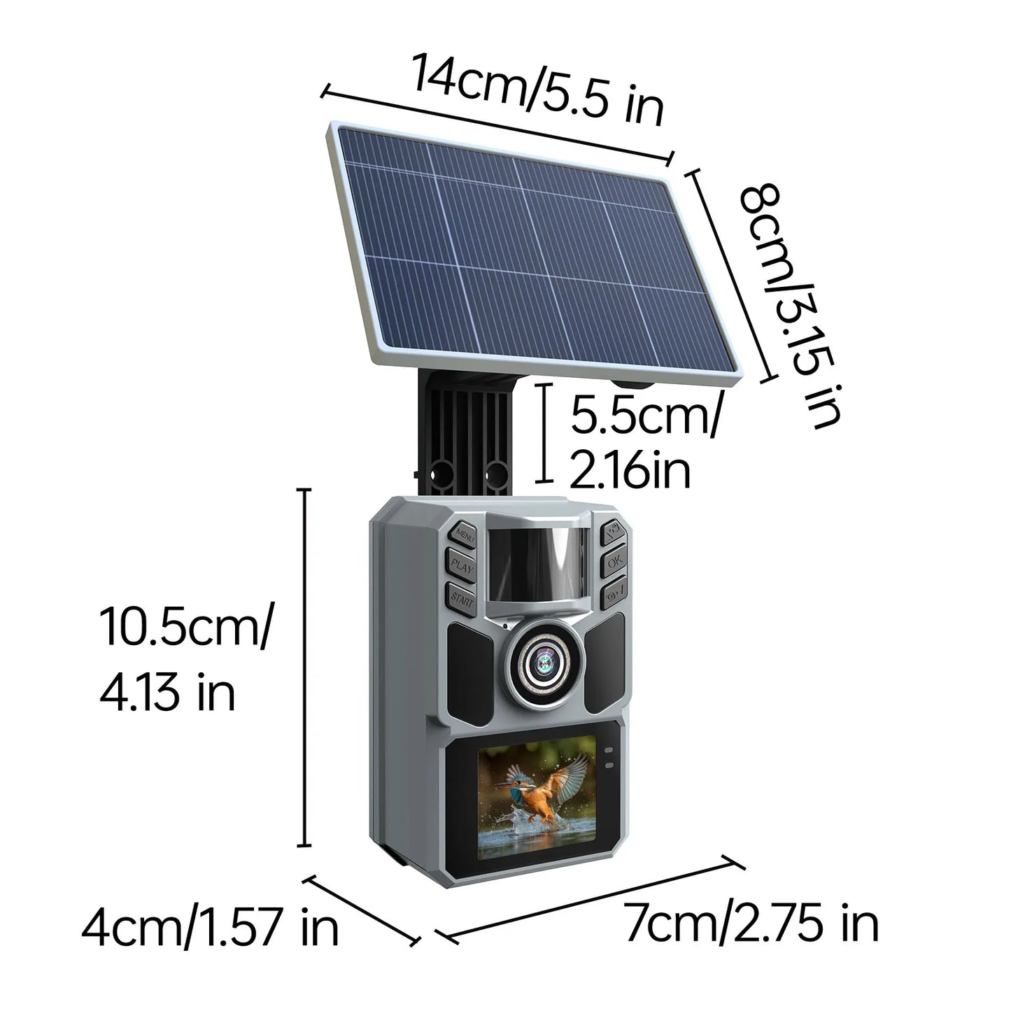 Trail Camera Solar Game Trail Cam - 4K 64MP Hunting Trail Cameras for Deer Wildlife Monitoring with Night Vision, 0.2s Trigger T