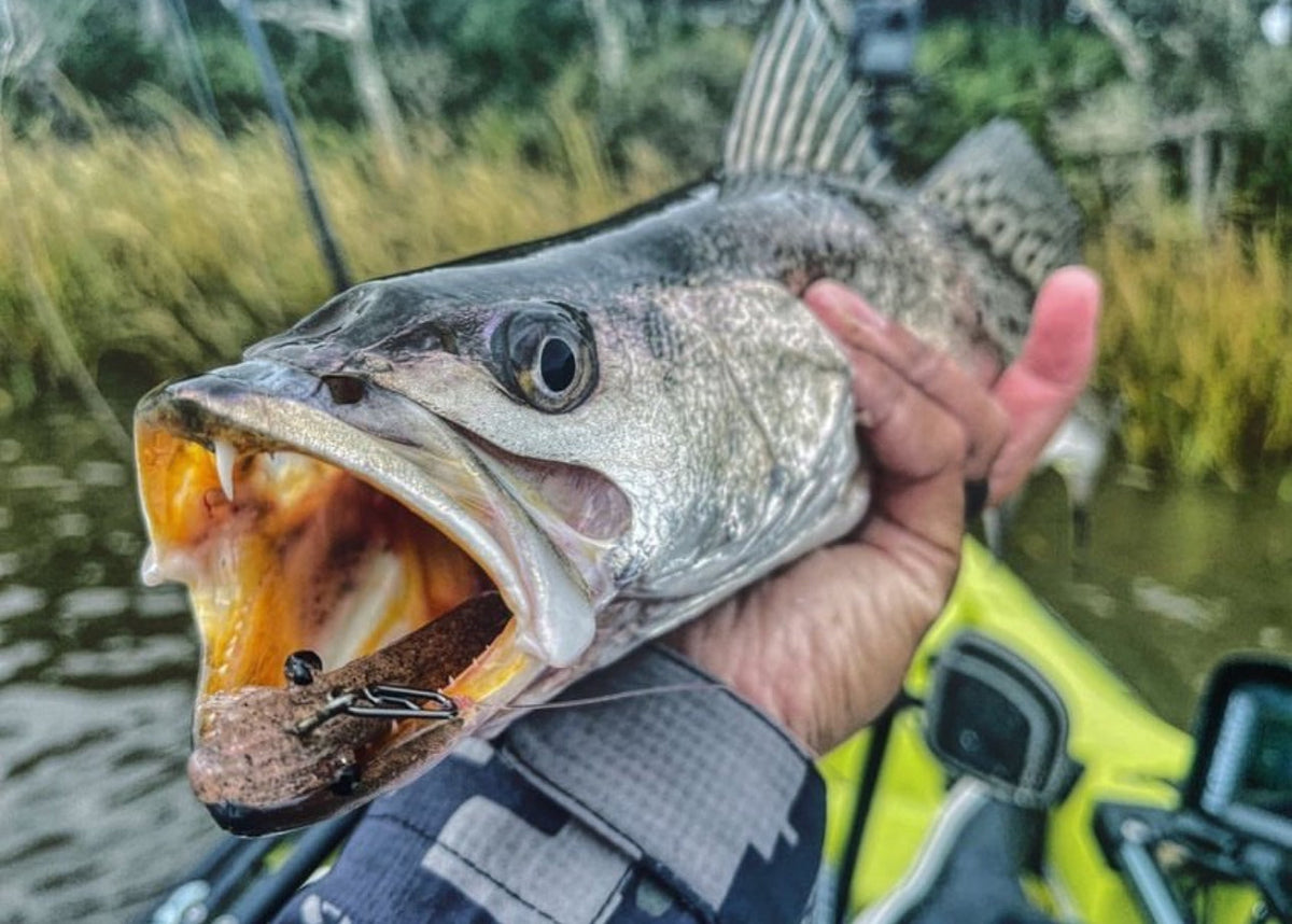 Small Speed Clips (45lbs)