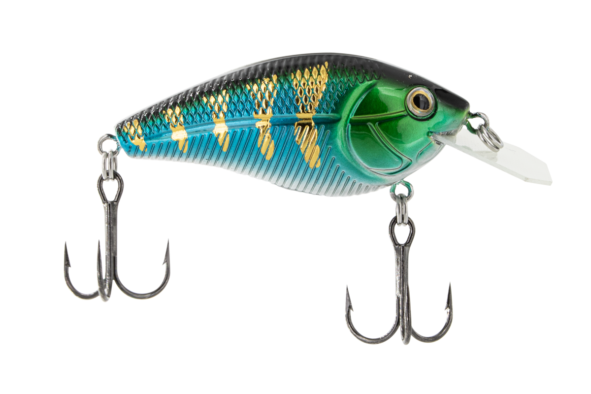 Primetyme CB 1.5