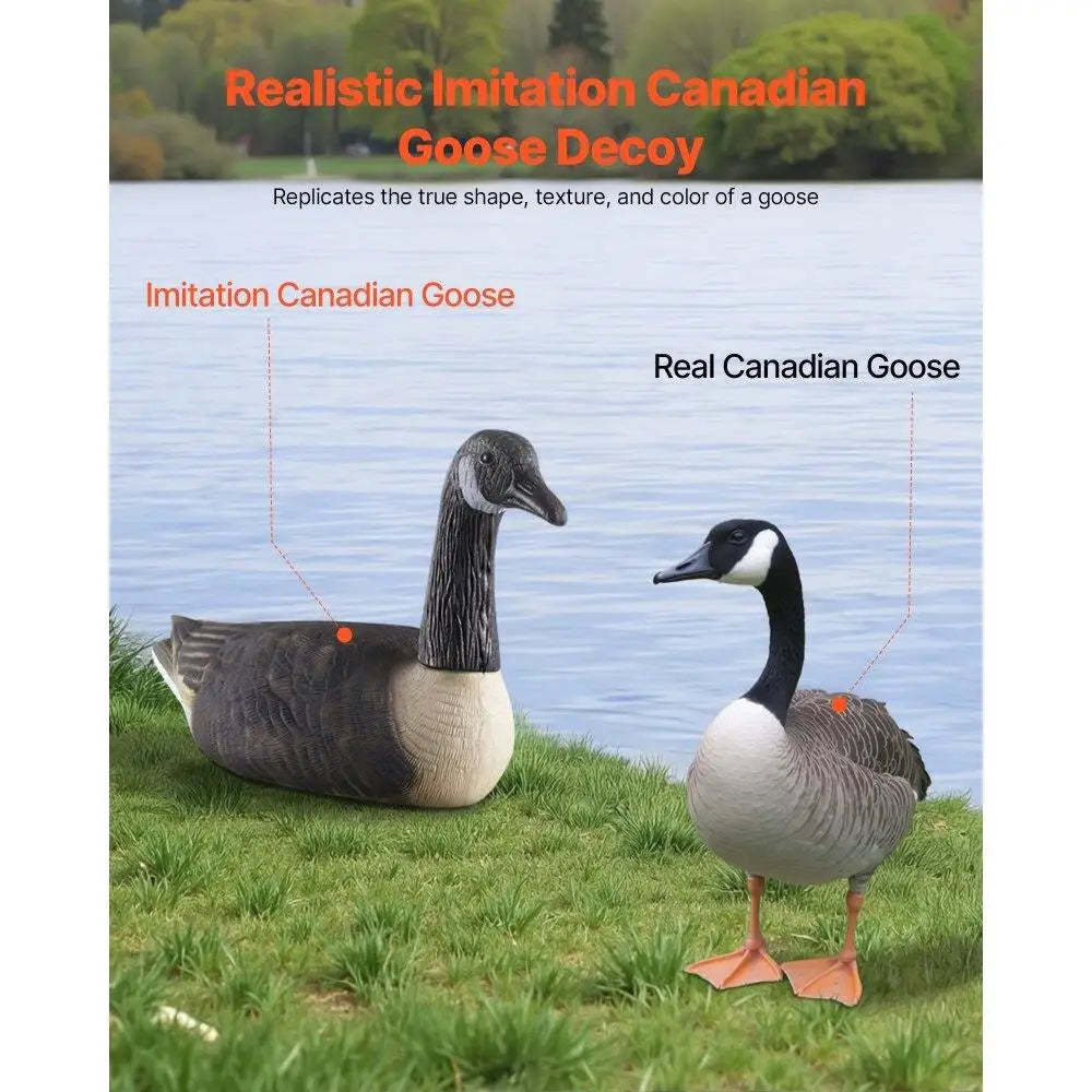 Realistic Outdoor Goose Floaters Decoy Set 6 Pack for  and Wildlife Decoration