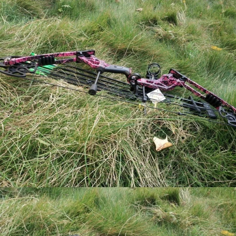 Adjustable Compound Bow with Arrows 30-70lbs 80% Let-off 320FPS High-Strength Alloy Riser for Archery Hunting Shooting Target Practice Outdoor Sports Accessories