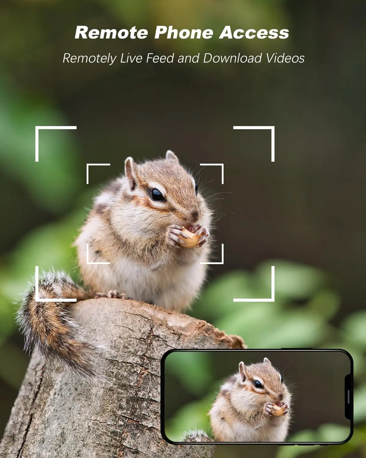 4G Cellular Solar Powered Wildlife Camera with SIM Card, 2K Trail Camera Outdoor, No WiFi Game Cam,Only Support The Built-in SIM