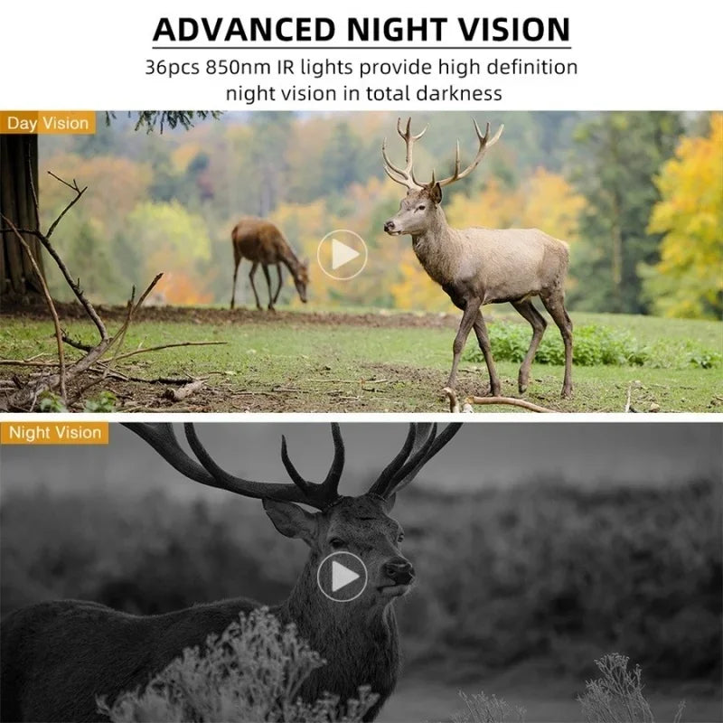 4G Hunting Trail Camera 1080P 24MP Game Camera with Night Vision Waterproof IP66 Deer Camera for Wildlife Monitoring