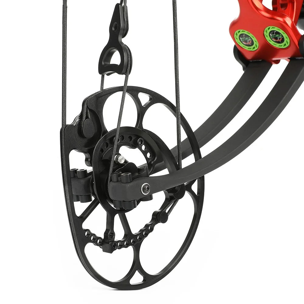 Compound Bow with Arrow Set 40-75lbs 29" Axle-Axle CNC Machining 350FPS 85% Let-off for Archery Hunting Shooting Target Practice Competition Accessories