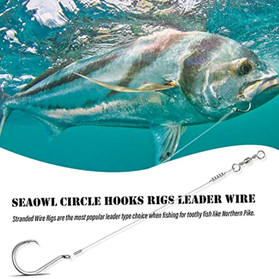 Saltwater Steel Circle Hook Rigs for Catfish Bass Fishing, Stainless Steel, Silver, Corrosion-Resistant Sharp Offset Octopus Ho
