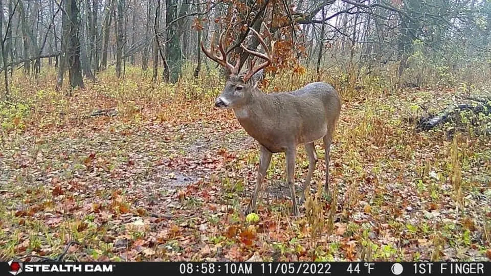 36MP 720P HD 0.4s Trigger Speed Wireless Hunting Trail Camera Dual SIM AT&T Verizon