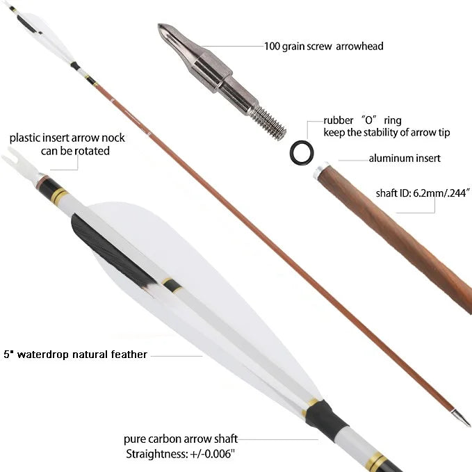 Archery Arrows 12pcs 31 Inch Pure Carbon Spine 340-600 with Turkey Feathers for Hunting Target Shooting and Daily Practice