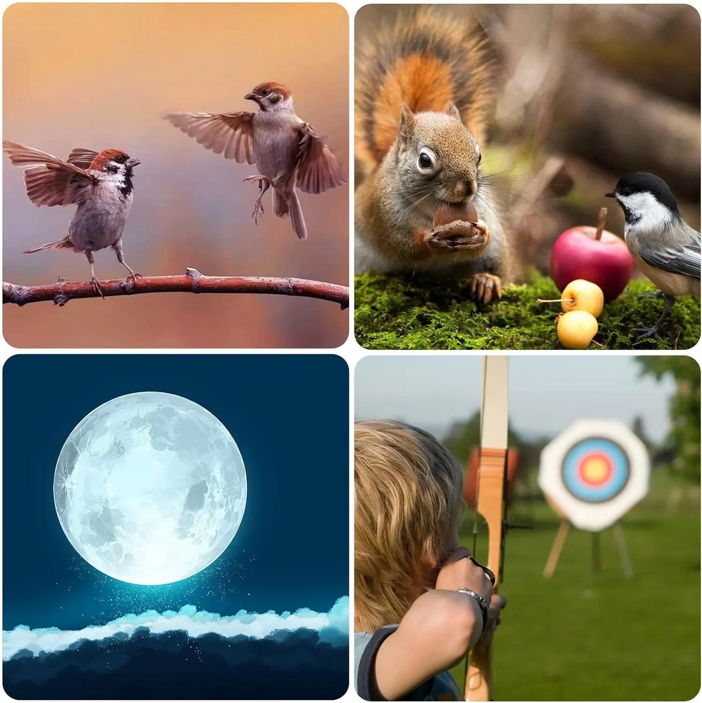 20-60x80 Spotting Scope with Tripod, Phone Adapter - BAK4 HD Waterproof for Bird Watching & Wildlife
