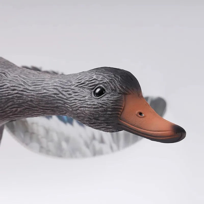 Remote Controlled Wild Duck Hunting Decoy Male Or Female Wear Resistant