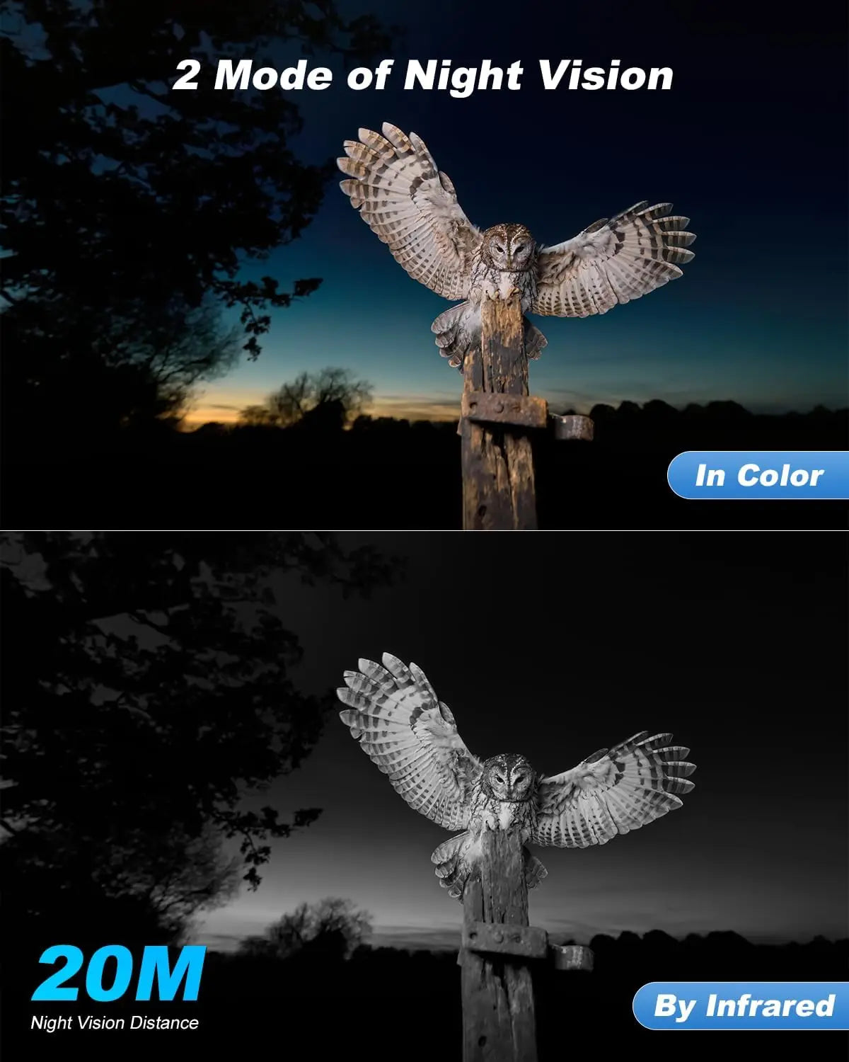 4G Cellular Solar Powered Wildlife Camera with SIM Card, 2K Trail Camera Outdoor, No WiFi Game Cam,Only Support The Built-in SIM