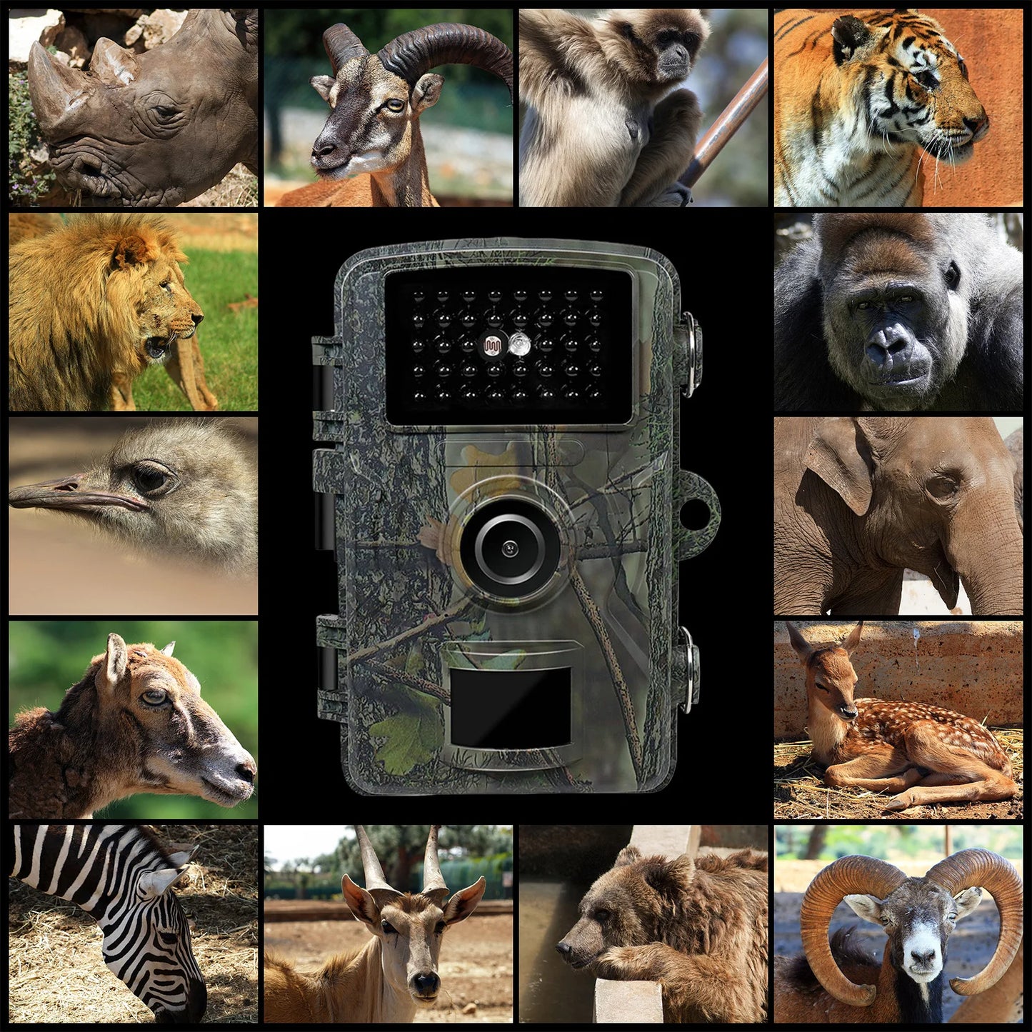 Camouflage Hunting Trail Camera Long Battery Life (Battery and TF Card Not Included) Outdoor Wildlife Camera Mini Hunting Camera