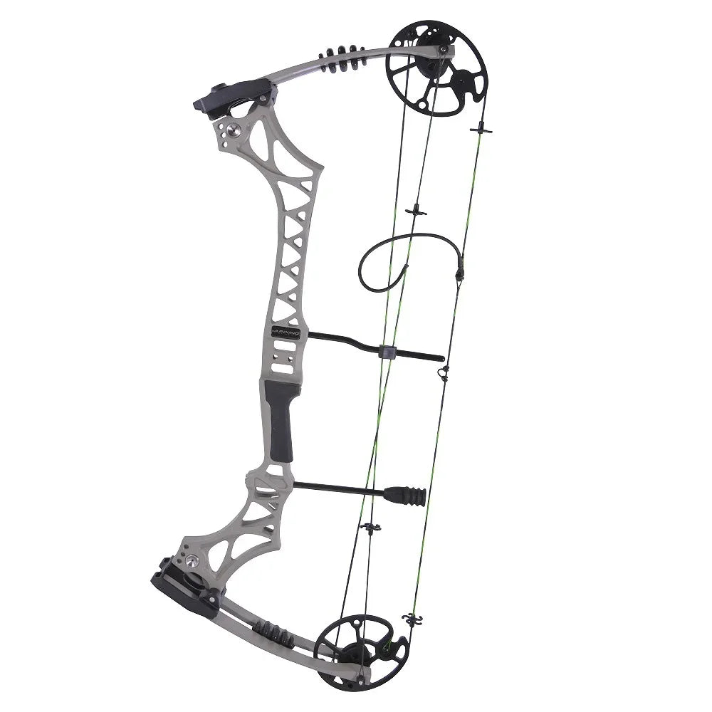 Adjustable Compound Bow 30-70lbs M129 320fps 80% Let-off Magnesium Alloy Riser for Adults Beginners Hunting Target Practice