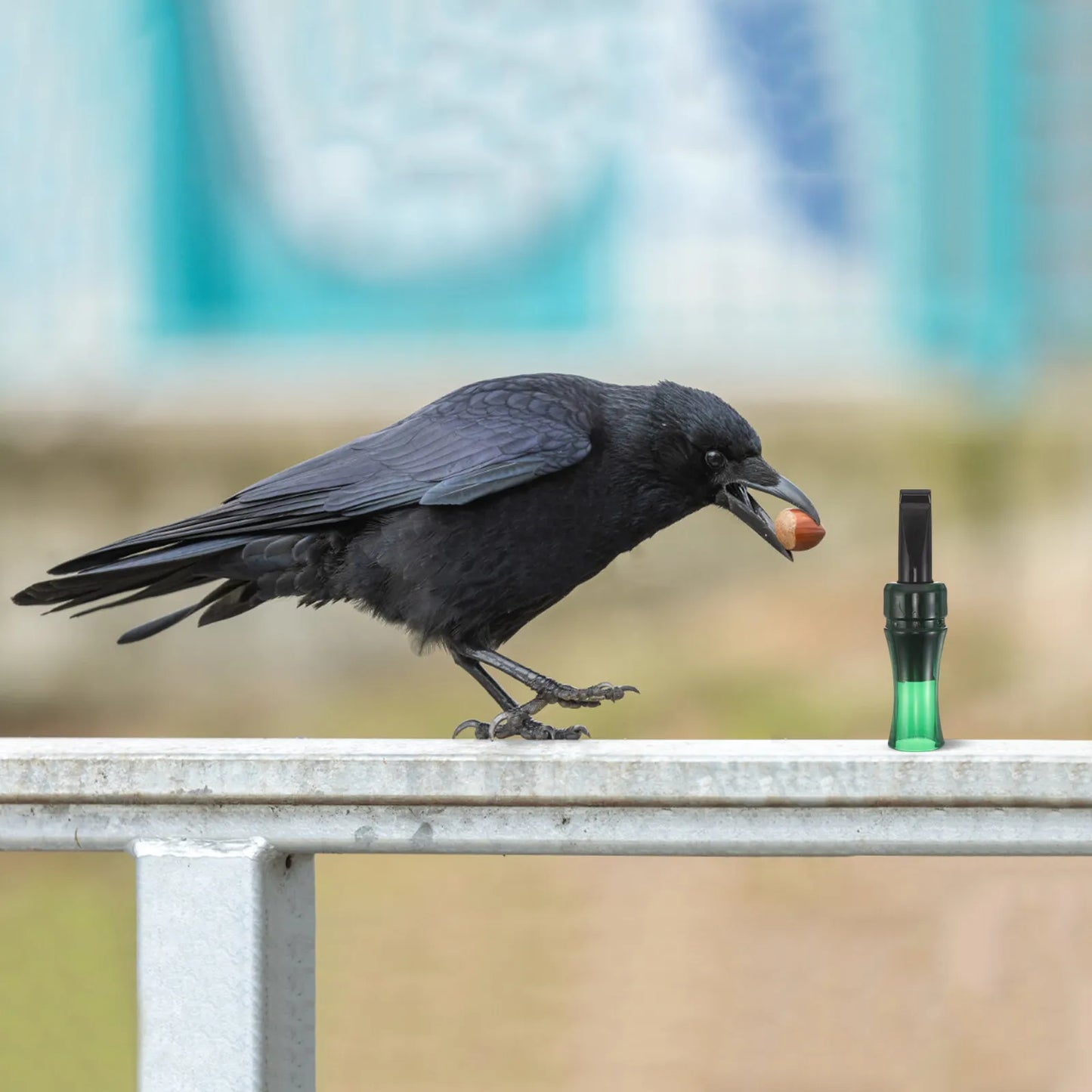 Crow Decoy Call Whistle Natural Crow Calls Attract Crows Easily Portable Lightweight Bird Calling Device for Outdoor Bird