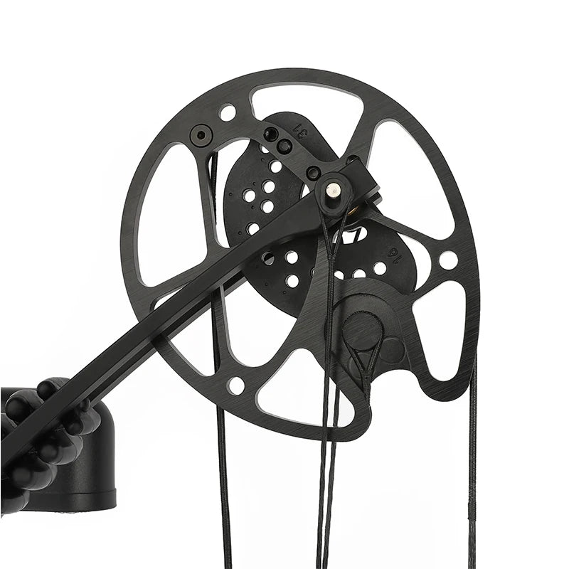 Compound Bow Arrows Set 30-70lbs High Strength Alloy Handle Let-off 80%  320FPS for Outdoor Shooting Hunting Sports