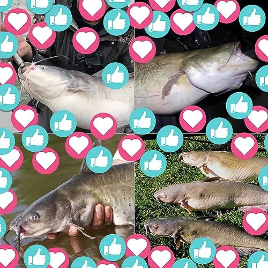 Catfish-Rig-for-Bank-Fishing-Catfishing-Tackle-Floats-with-Rattler-Santee Cooper Rig Equipment