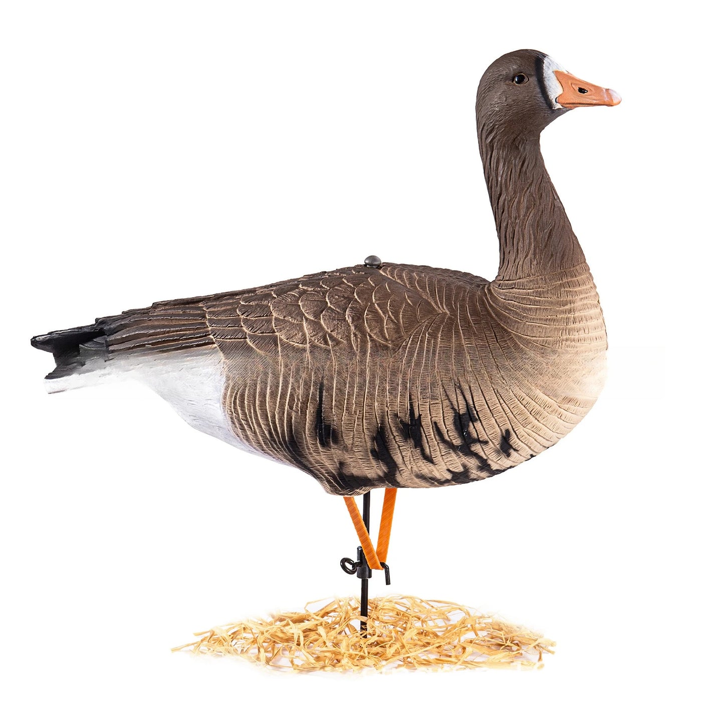 Goose decoy,foldable eva hunting bait,3d lifelike waterproof decoy,wetland lake garden ornament