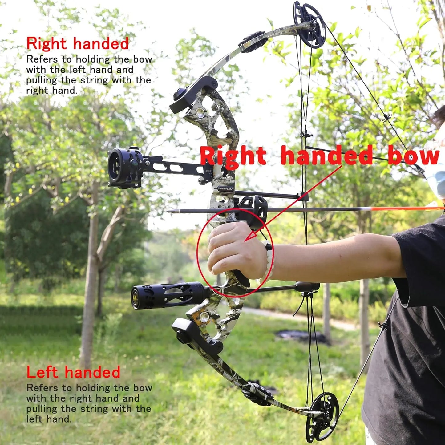 Compound Bow Kit,Hunting&Target,Limb Made in USA,Draw Weight 30-55lbs Adjustable,Draw Length 24-29.5\\", Right/Left Handed for A